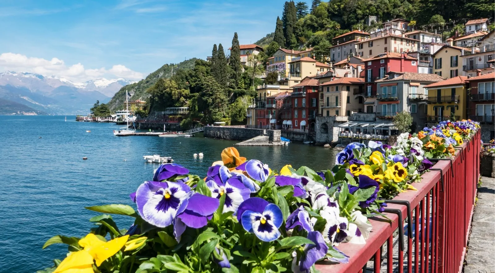 Purple pansies in flower boxes lining the Varenna lakefront with colourful houses beyond
